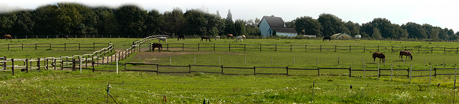 Reitanlage Rensing in Reken, Kreis Borken