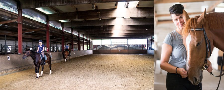 Reitunterricht in der Reitanlage Rensing aus dem Kreis Borken